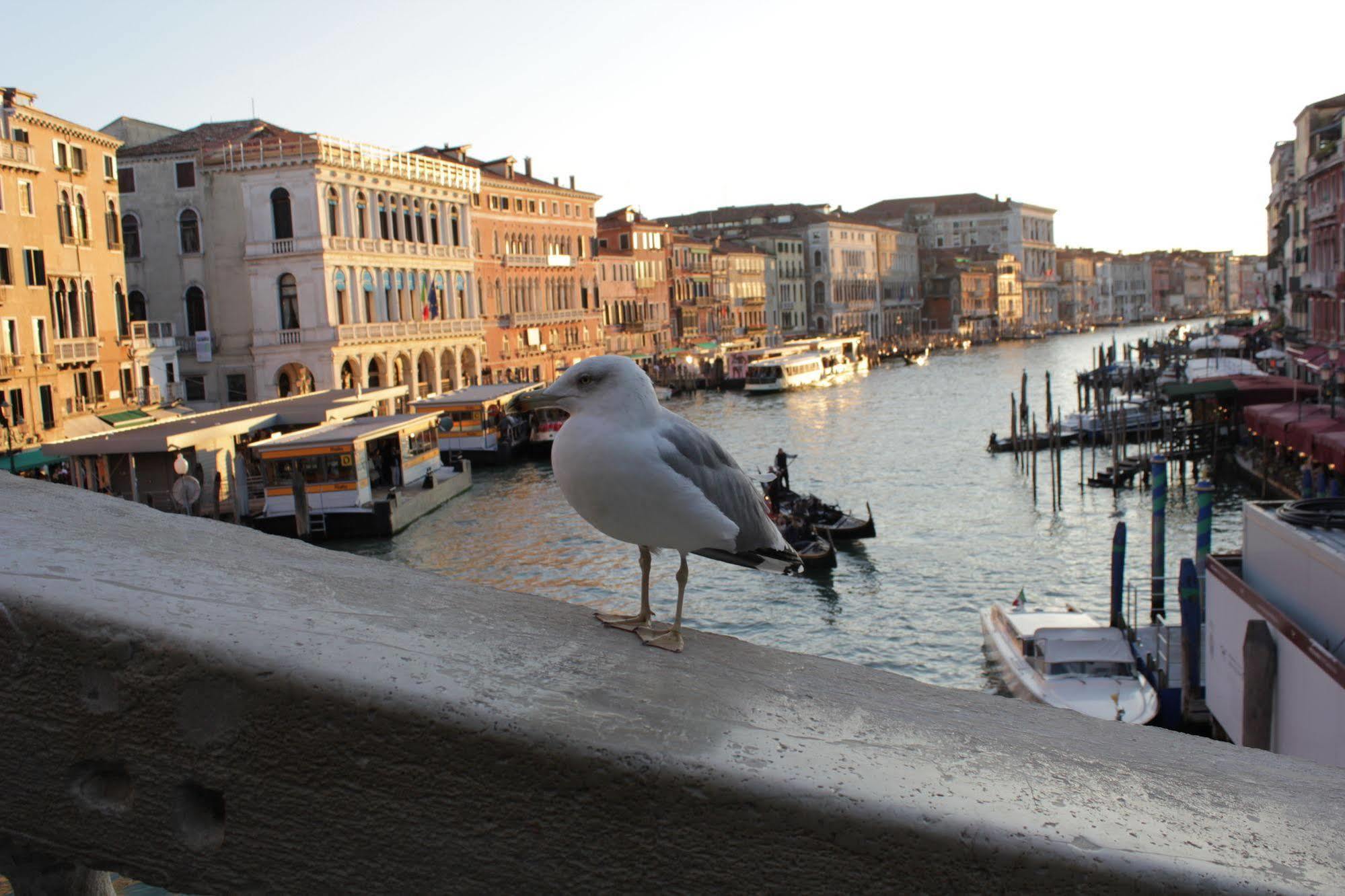 Apartment Rialto Loft Venedig